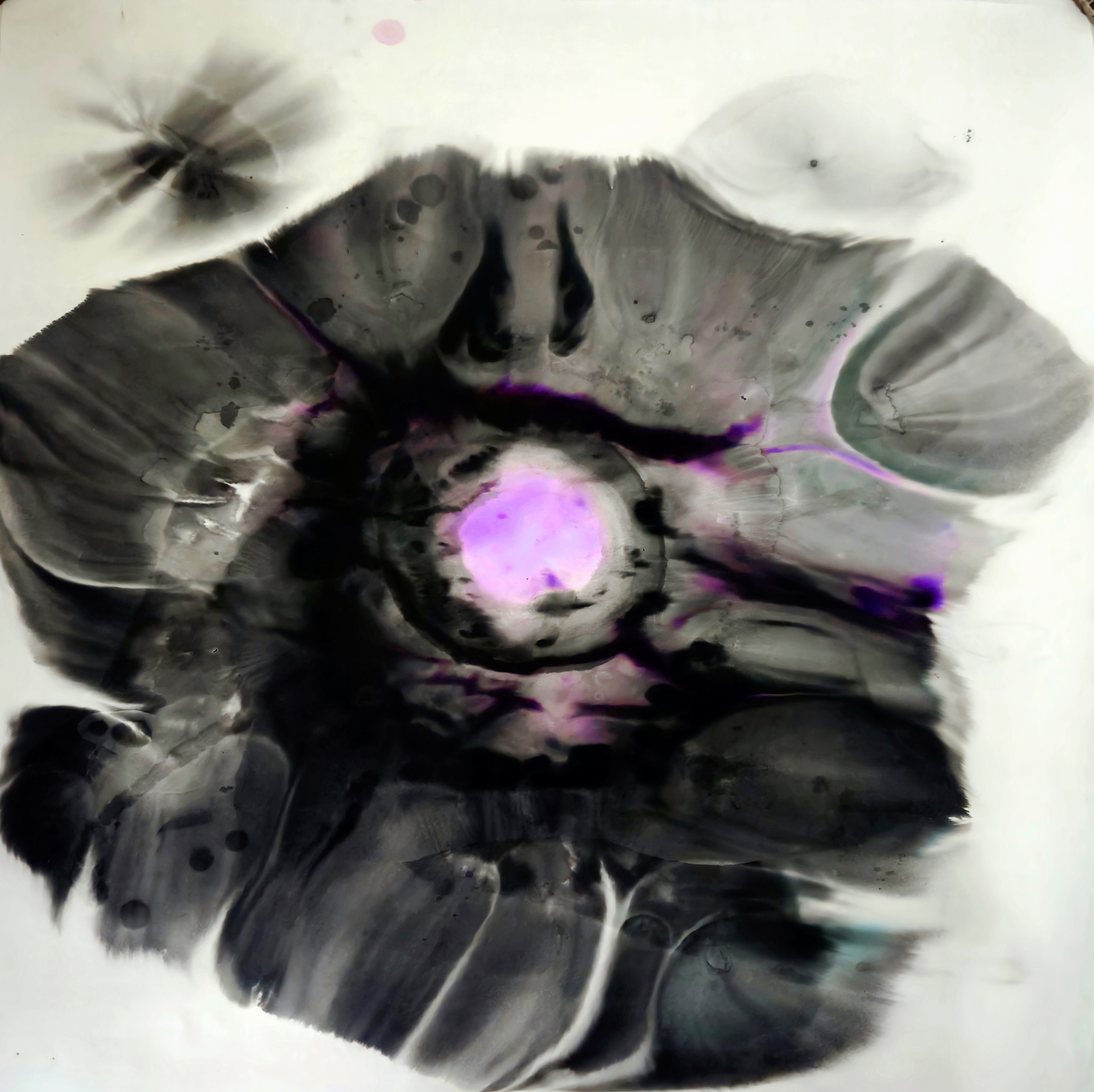 Purple Portal (vietnam 01)